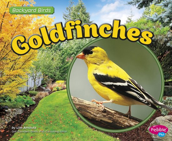 Backyard Birds - Goldfinches