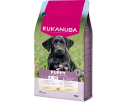 Eukanuba Puppy Large Breed Kip - Hondenbrokken - 12 kg
