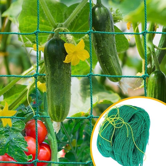 Klimnet 2 X 3 Meter – Grote Maaswijdte Voor Komkommers, Tomaten En Klimplanten