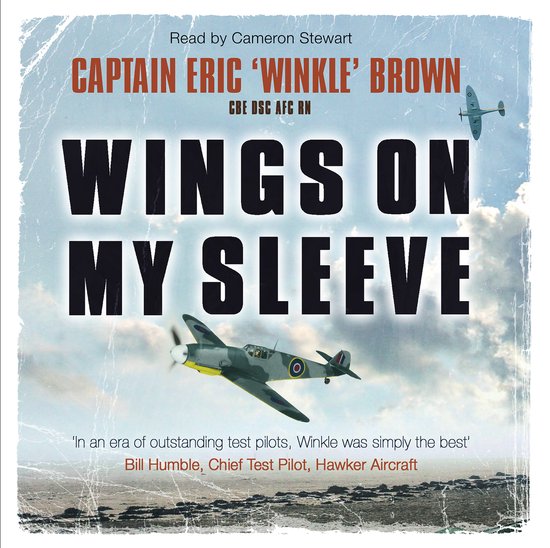 Wings on My Sleeve - cover