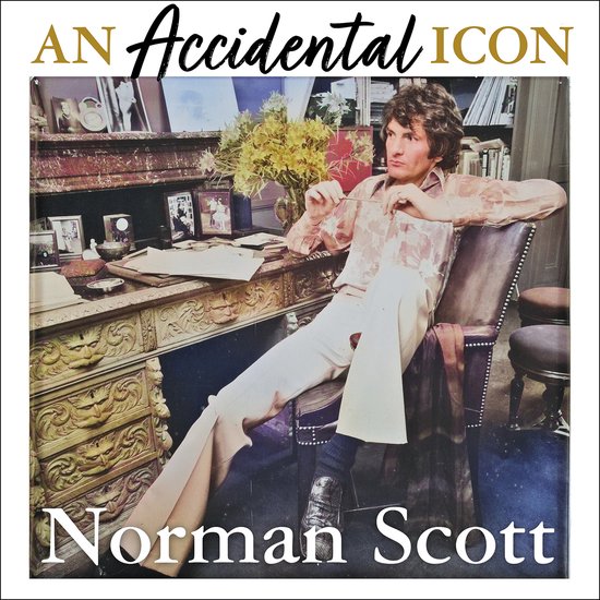An Accidental Icon - cover