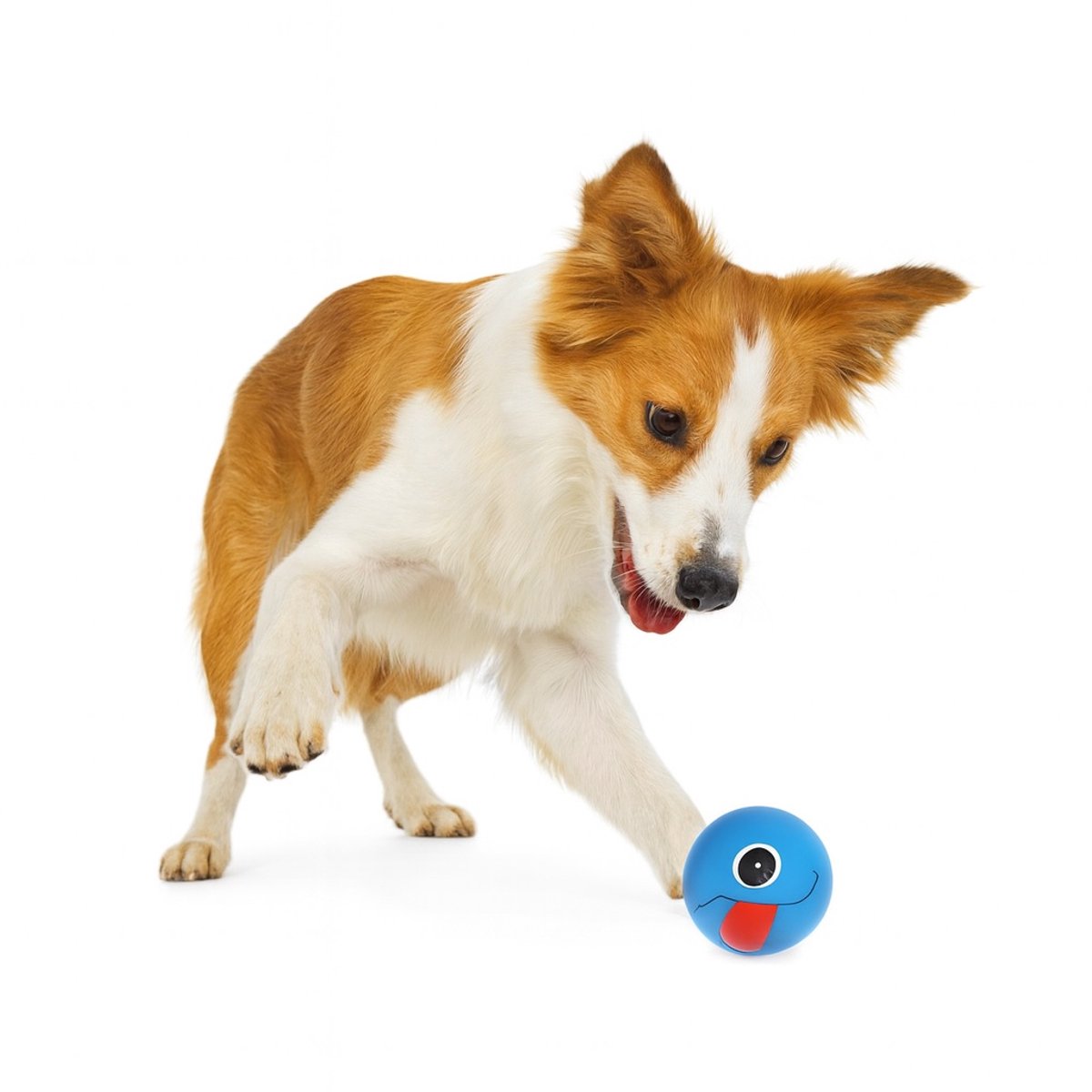 Nobleza Hondenbal met Piep - Hondenspeelgoed - Piepspeelgoed Hond - Vinyl Speelbal - 7,5 cm - Blauw - 1 Oog
