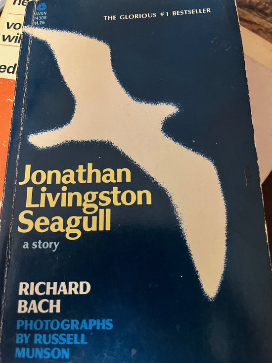 Jonathan Livingston Seagull - cover
