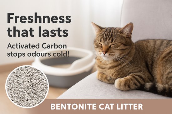 Bestsellers: De beste items in Kattenbakvulling op basis van de aankopen van -klanten