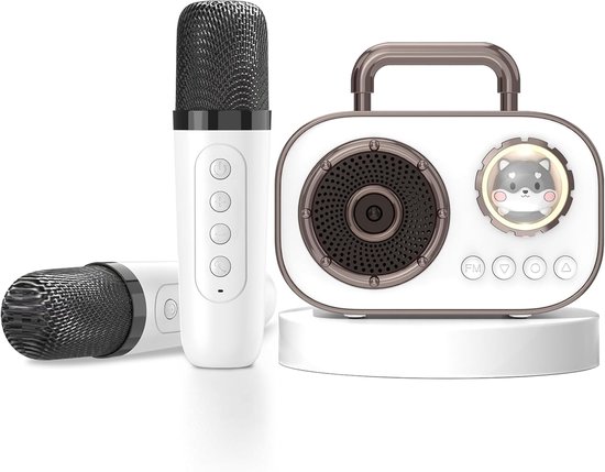 Machine de karaoké Enceinte Bluetooth Portable avec 2 Microphones sans