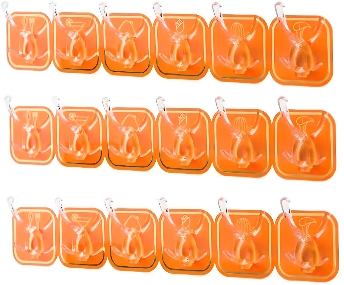Wandhaken 6-in-1 Oranje 2 stuks - Holland - Nederland - Handdoekhaakjes - Ophanghaken - Ze