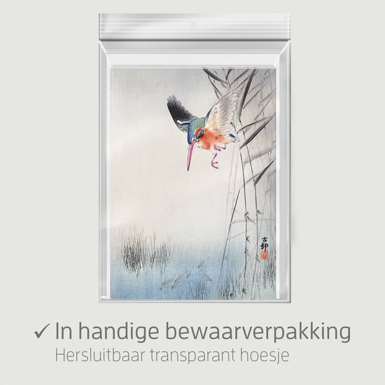 Wenskaarten set Vogelprenten - 12 dubbele kaarten met enveloppen - zonder boodschap