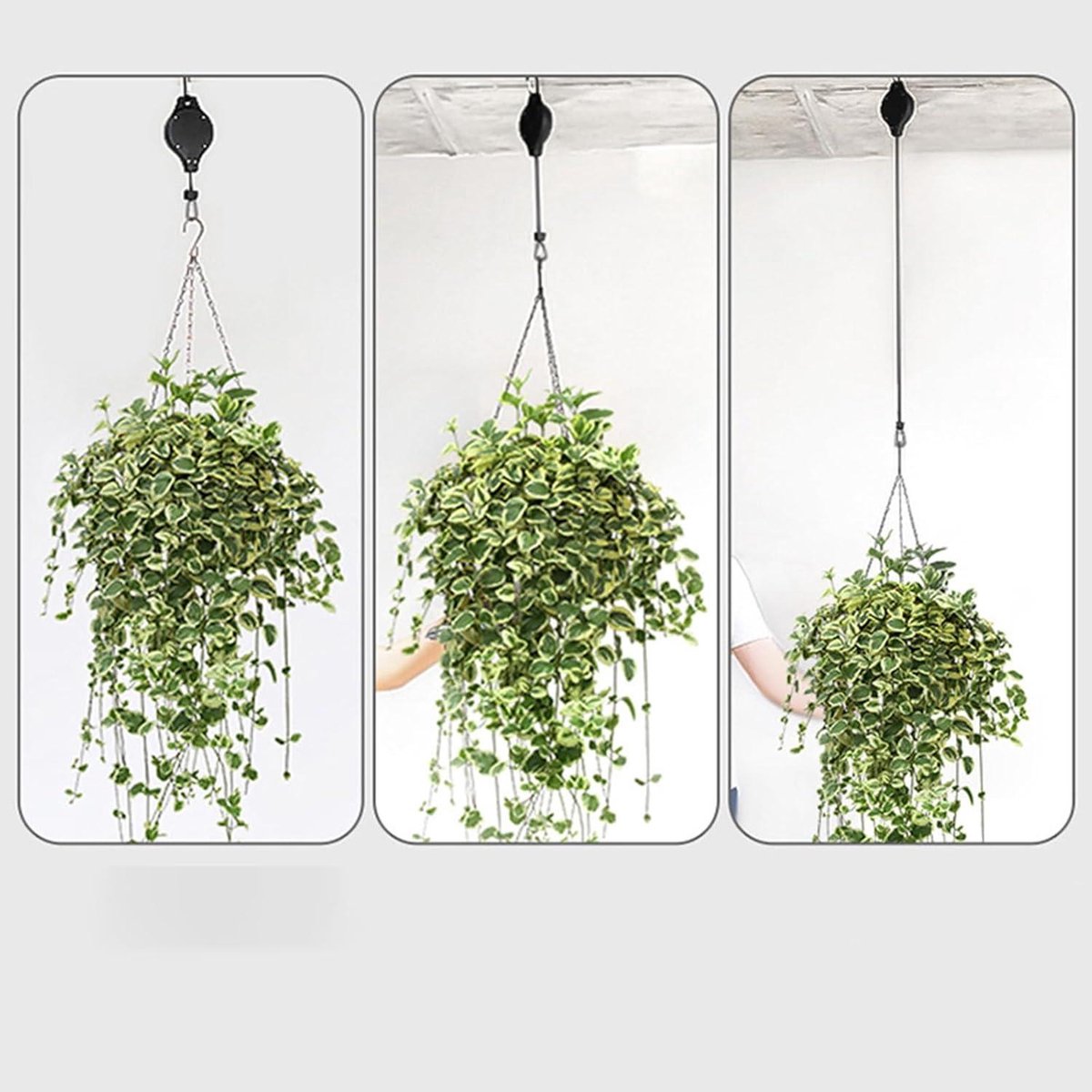 3 Stuks intrekbare plantenhangers, planten katrollen voor het ophangen 3 Stuks intrekbare plantenhangers, planten katrollen voor het ophangen
