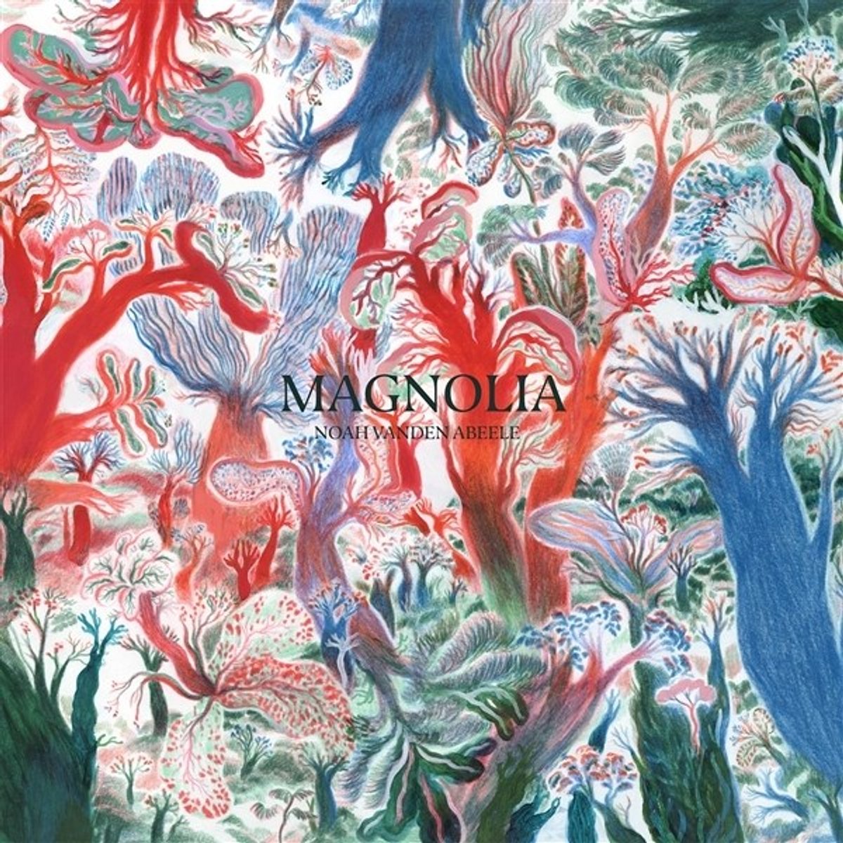 Noah Vanden Abeele - Magnolia (CD)