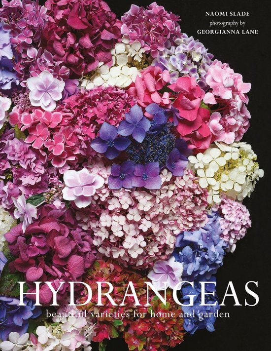 Hydrangeas - cover