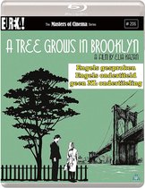 A Tree Grows In Brooklyn (Masters Of Cinema) [Blu-ray]