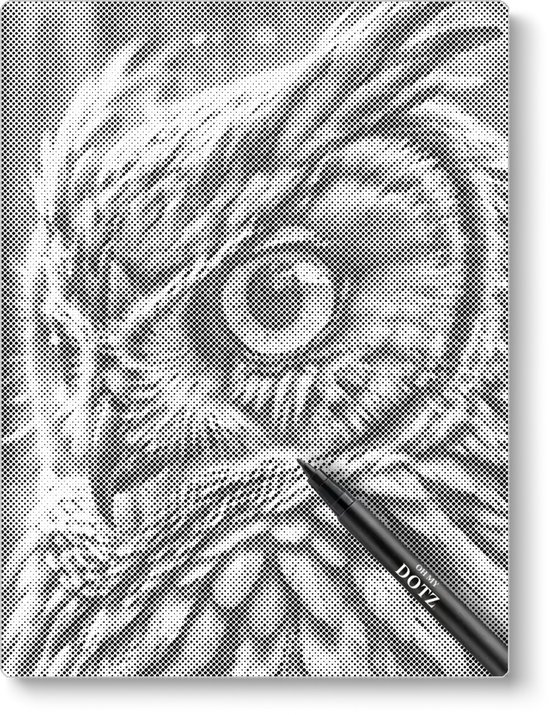 Tête de hibou | Peinture par points | 40x50cm (le plus choisi) | Toile lâche | Peinture au Diamond et Peinture par numéro alternative | Peinture en pointillé