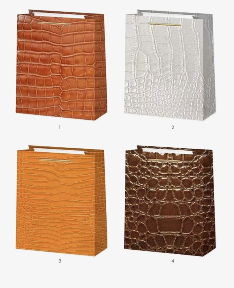 4 x Luxe papieren cadeautassen - 23*18*8cm – Stevig & Herbruikbaar – Verschillende Kleuren en Prints – Cadeau & Geschenktas