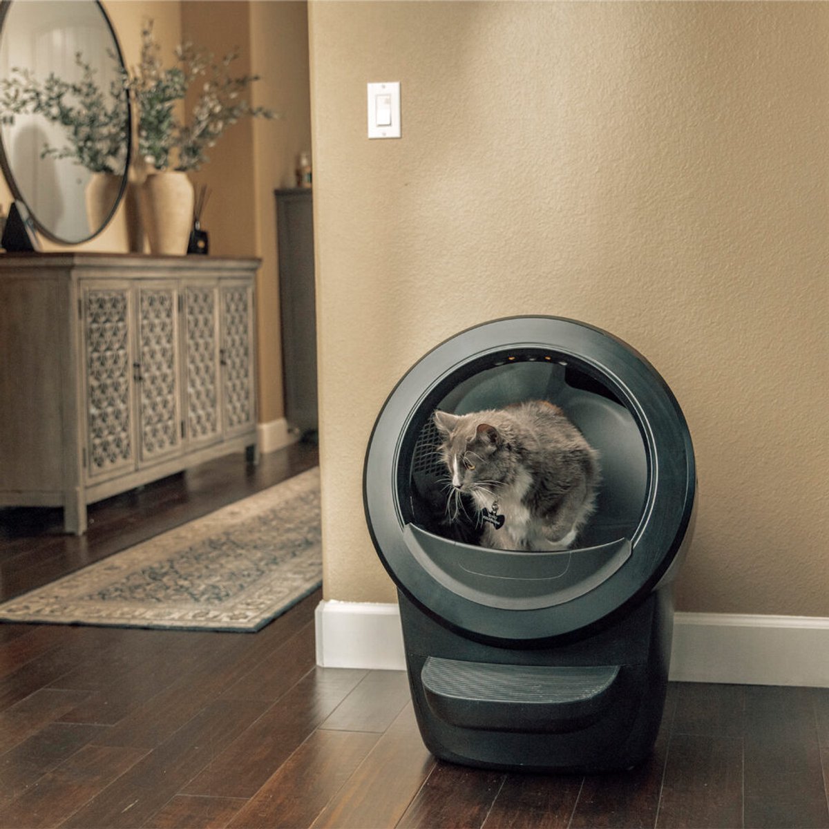 Litter-Robot 4 - Zelfreinigende kattenbak met Whisker app thumbnail 5