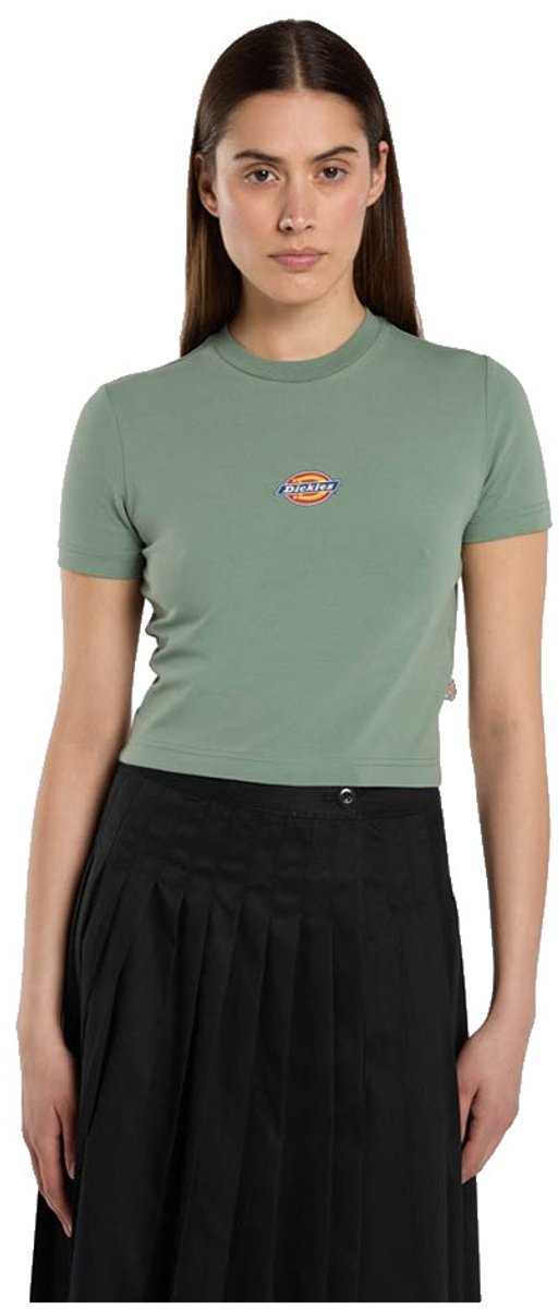 Dickies Maple Valley T-shirt Met Korte Mouwen XS Vrouw Sea Spray
