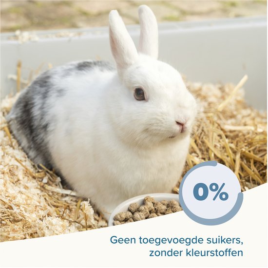 Wit konijn met grijze vlekken in stro en zaagsel, kijkt naar een bakje voer. Cirkel met "0%"