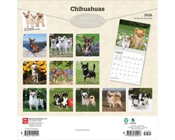 Chihuahua Kalender 2026