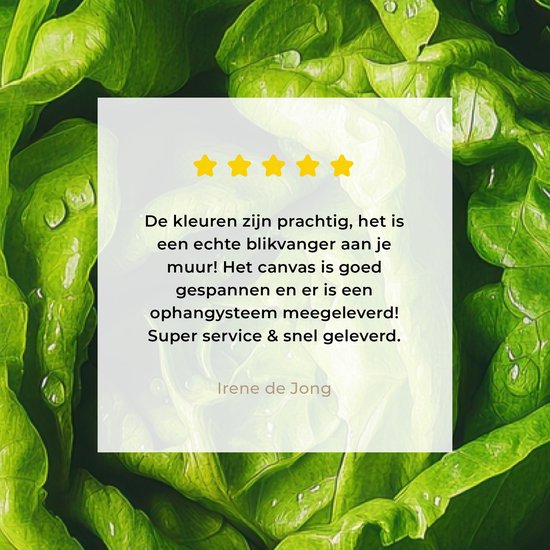 Tableau sur toile 40x80 cm - Décoration murale exclusive Légume - Laitue - Vert - Décoration murale salon - Décoration chambre - Accessoires chambre - Peintures sur toile