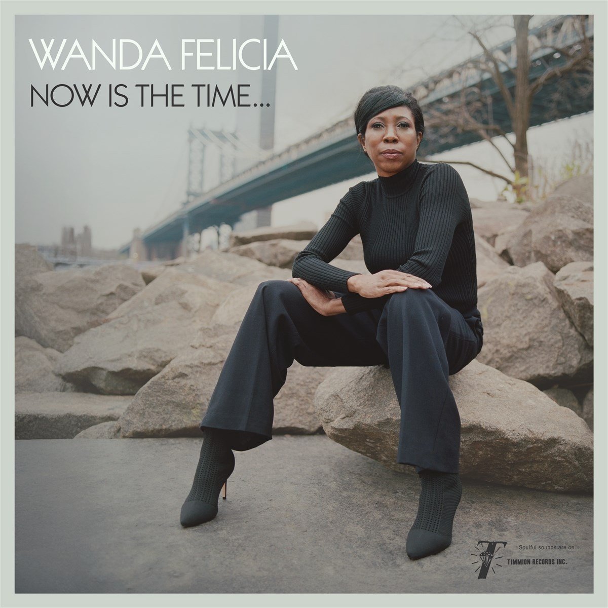 Wanda Felicia, Cold Diamond & Mink - Now Is The Time (LP) (Coloured Vinyl)