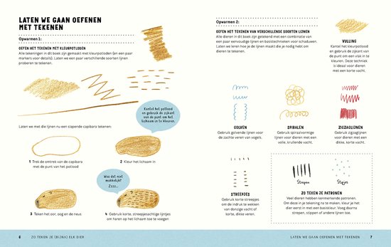Zo teken je (bijna) elk dier