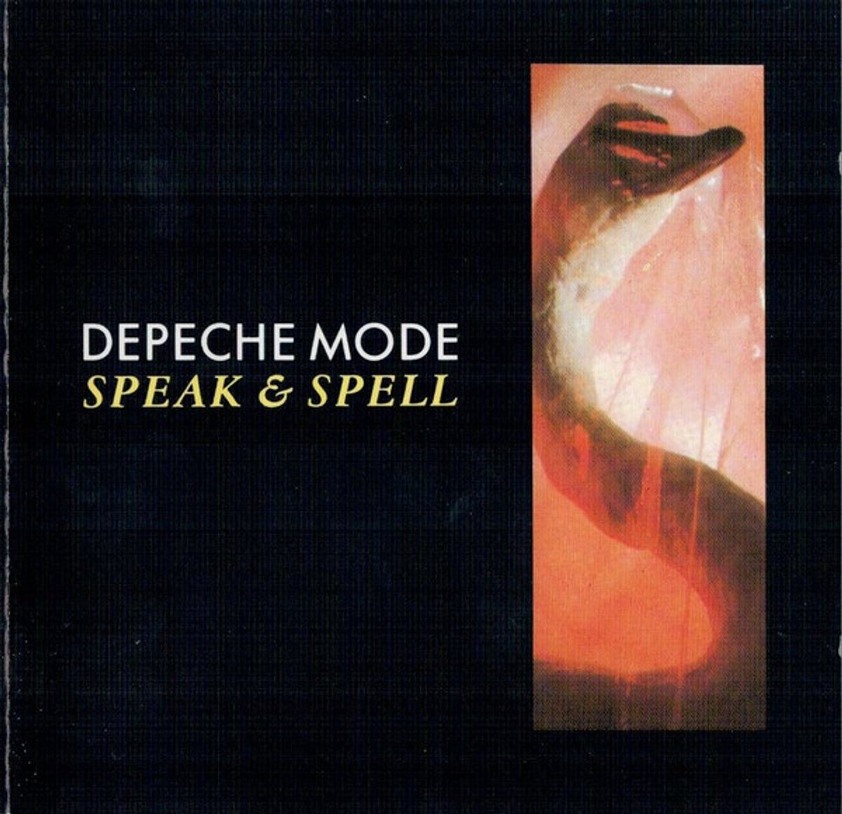 Speak & Spell