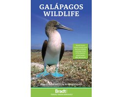 Galapagos Wildlife