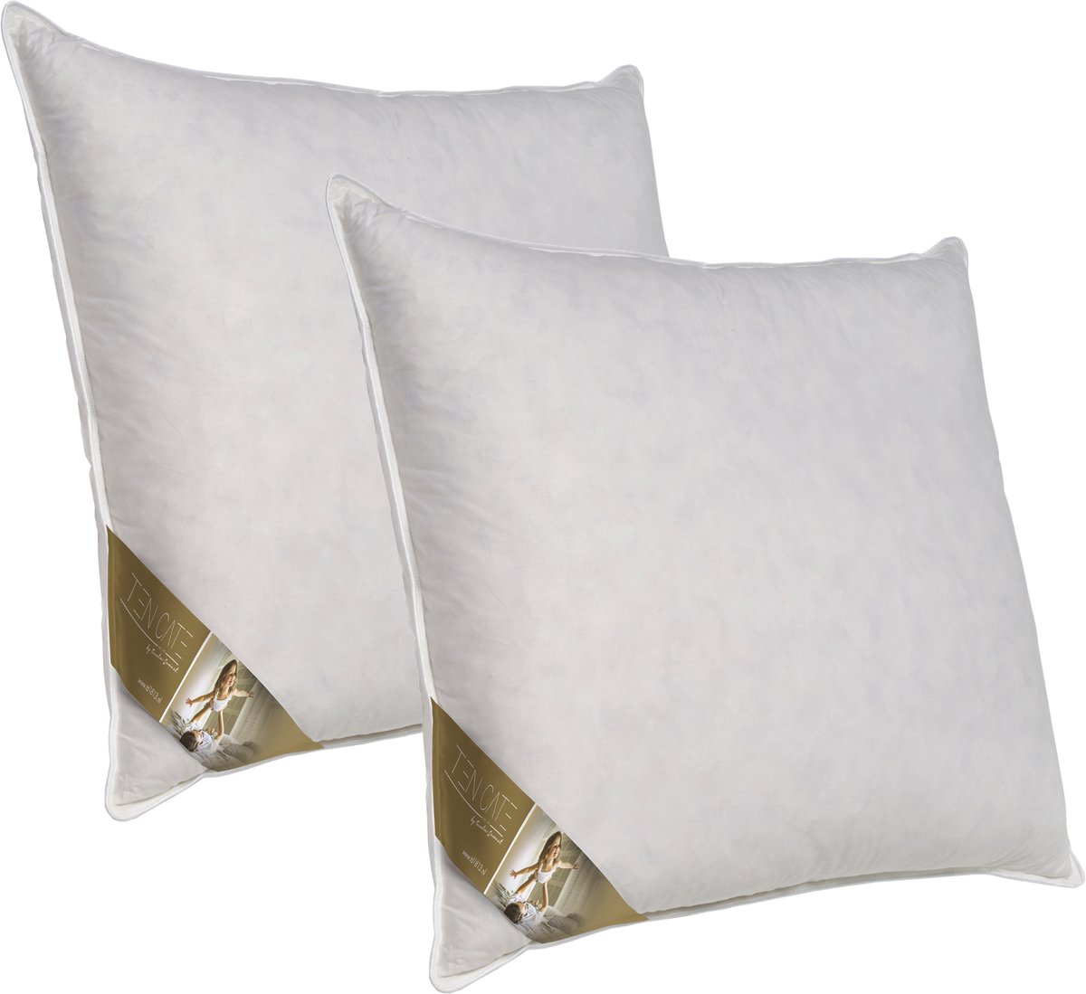 Ten Cate Hoofdkussen - Nekklachten - Ganzendons & Ganzenveren - Driekamer - Geschikt voor rug-, zij- en buikslapers - Ergonomisch Kussen - 60x70 cm - 2 stuks