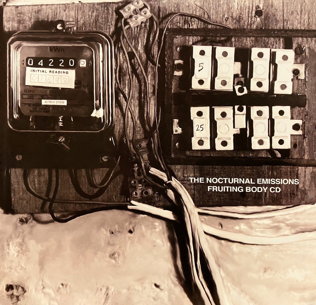 Nocturnal Emissions - Fruiting Body (2 CD)