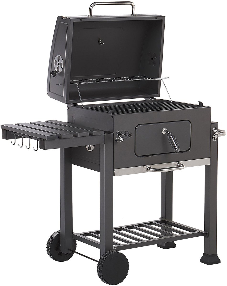 Beliani PAVLOF - Houtskoolgrill - grijs - Staal