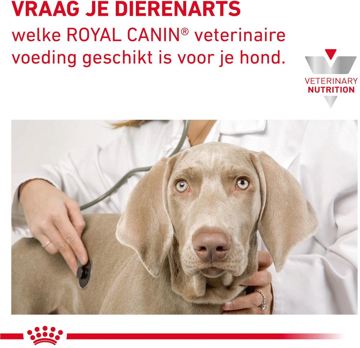 Royal Canin Veterinary Diet Gastro Intestinal Low Fat - 6 kg thumbnail 6