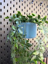 Boho Fotowand met Klemmen voor 20 Foto's - Doe-Het-Zelf Wanddecoratie