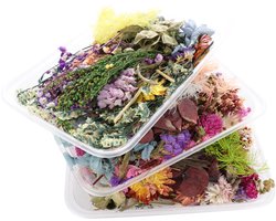 Droogbloemen-DIY-Materiaalpakket-Natuurlijk-Eeuwigdurend