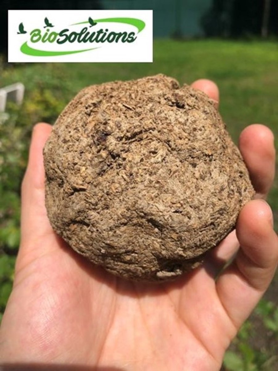 Bokashi Vijverballen - per 10 stuks (handgemaakt) - EM - Helder vijverwater - Fermenteren slib bodem - Gezonde vijver - BioSolutions