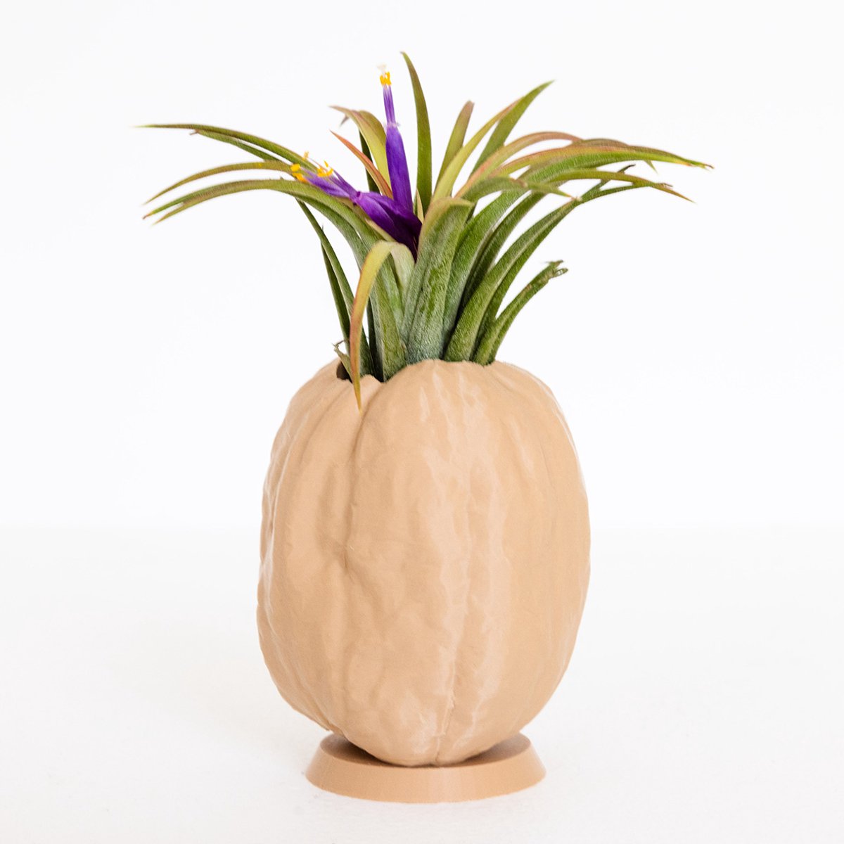 Mini Bloempotje – 3D Geprint Design Potje – Airplant Houder, Cactus Potje, Vetplant Potje of Pennenbakje – Uniek Walnoot Design – Duurzaam Cadeau Idee