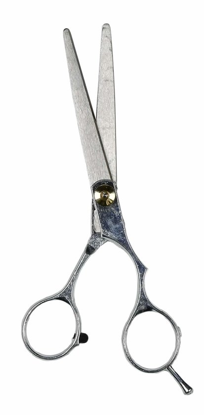 Ciseaux de coiffure Benson - 15 cm. - Inox 3CR13 - Professionnel