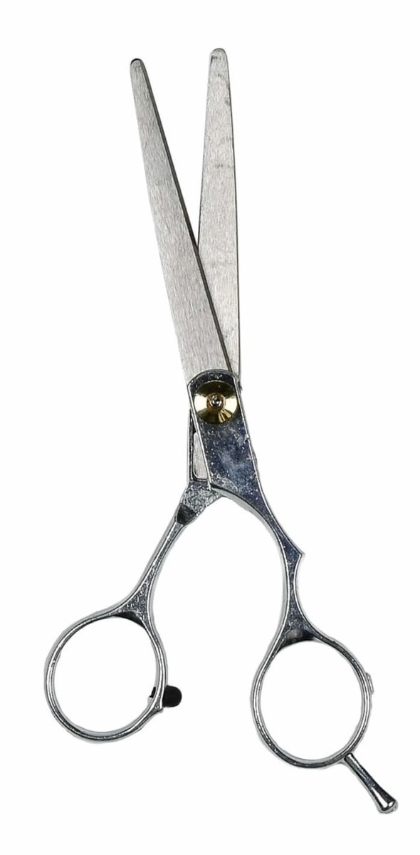 Benson Professionele kappersschaar - RVS 3Cr13 - 15 cm - Ergonomisch ontwerp