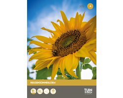 Tuin de Bruijn® zaden - Zonnebloem - Steun Stichting Energy4All - Reuzenzonnebloemen - ca. 30 zaden