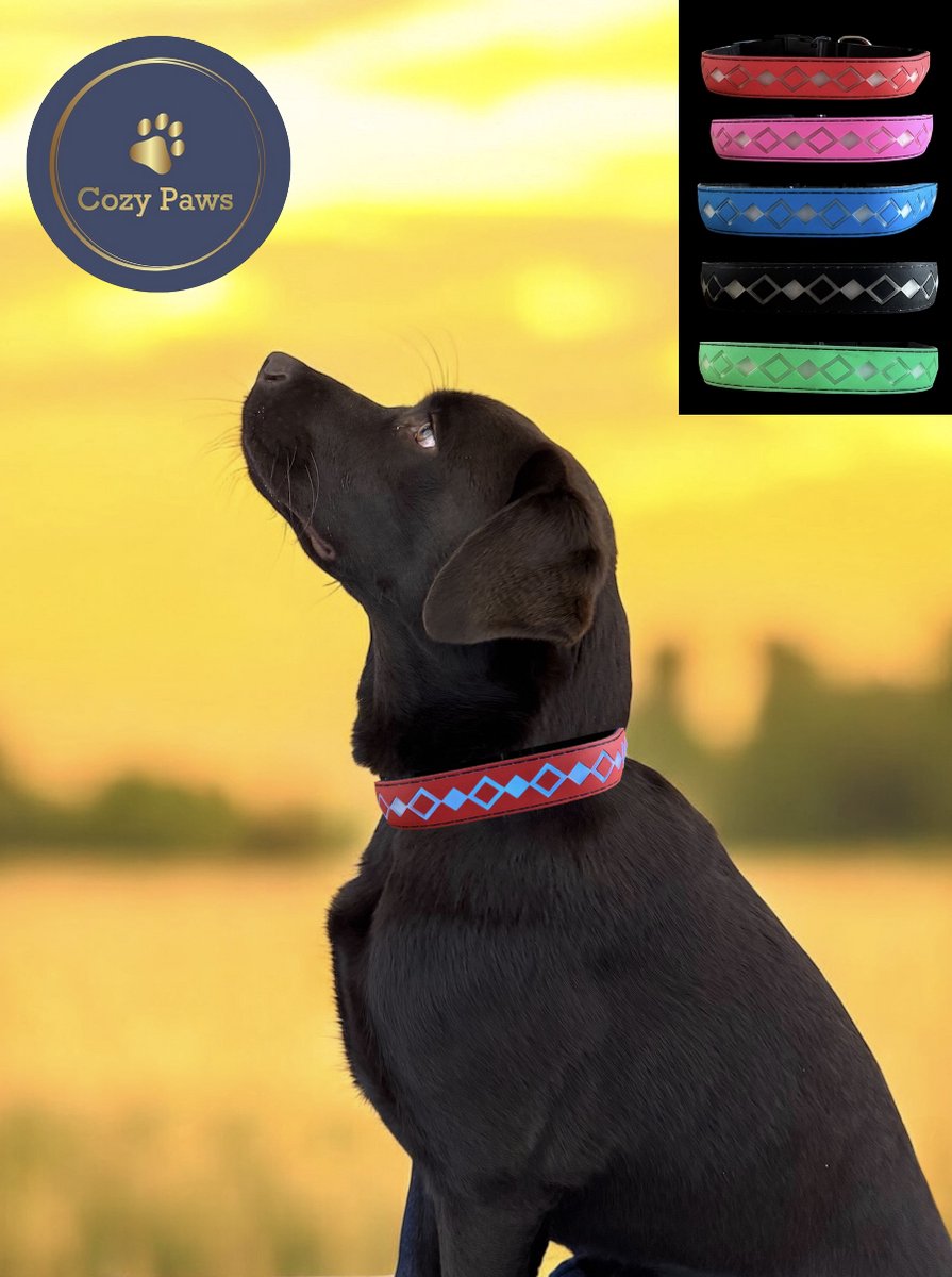 Cozypaws® LED Hondenhalsband met 15 LED kleuren - USB Oplaadbaar - Verstelbaar - Waterdicht - Lichtgevende Halsband voor Honden - Rood - Maat S