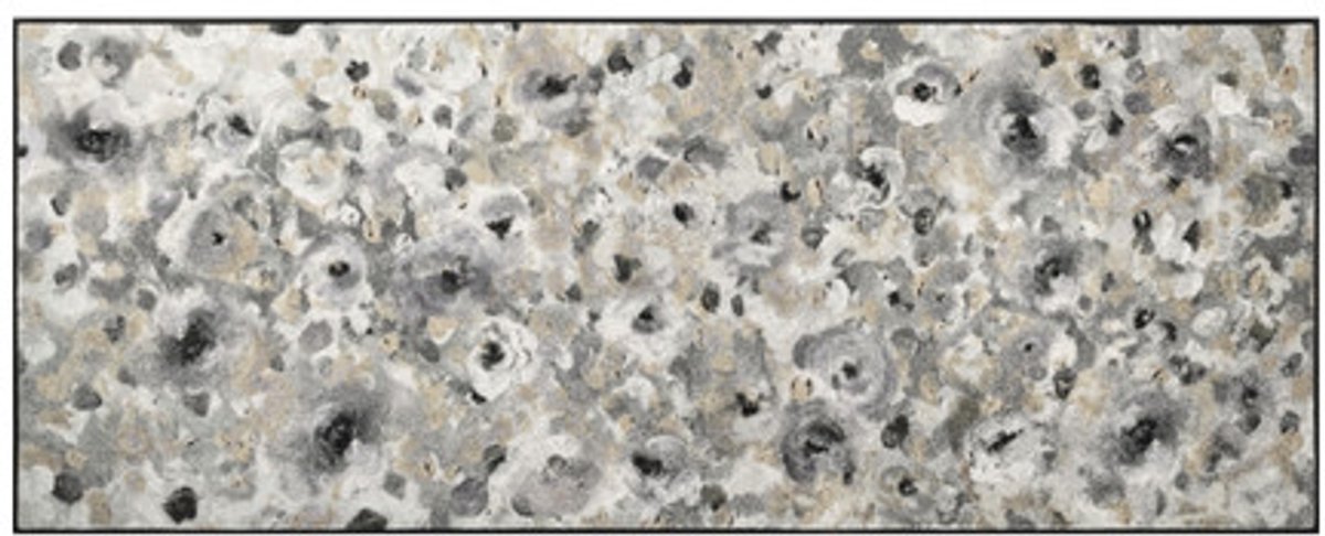 Kleen-Tex Wash+Dry Design Wasbare Deurmat - Light Blossom - 75 x 190 cm Wit