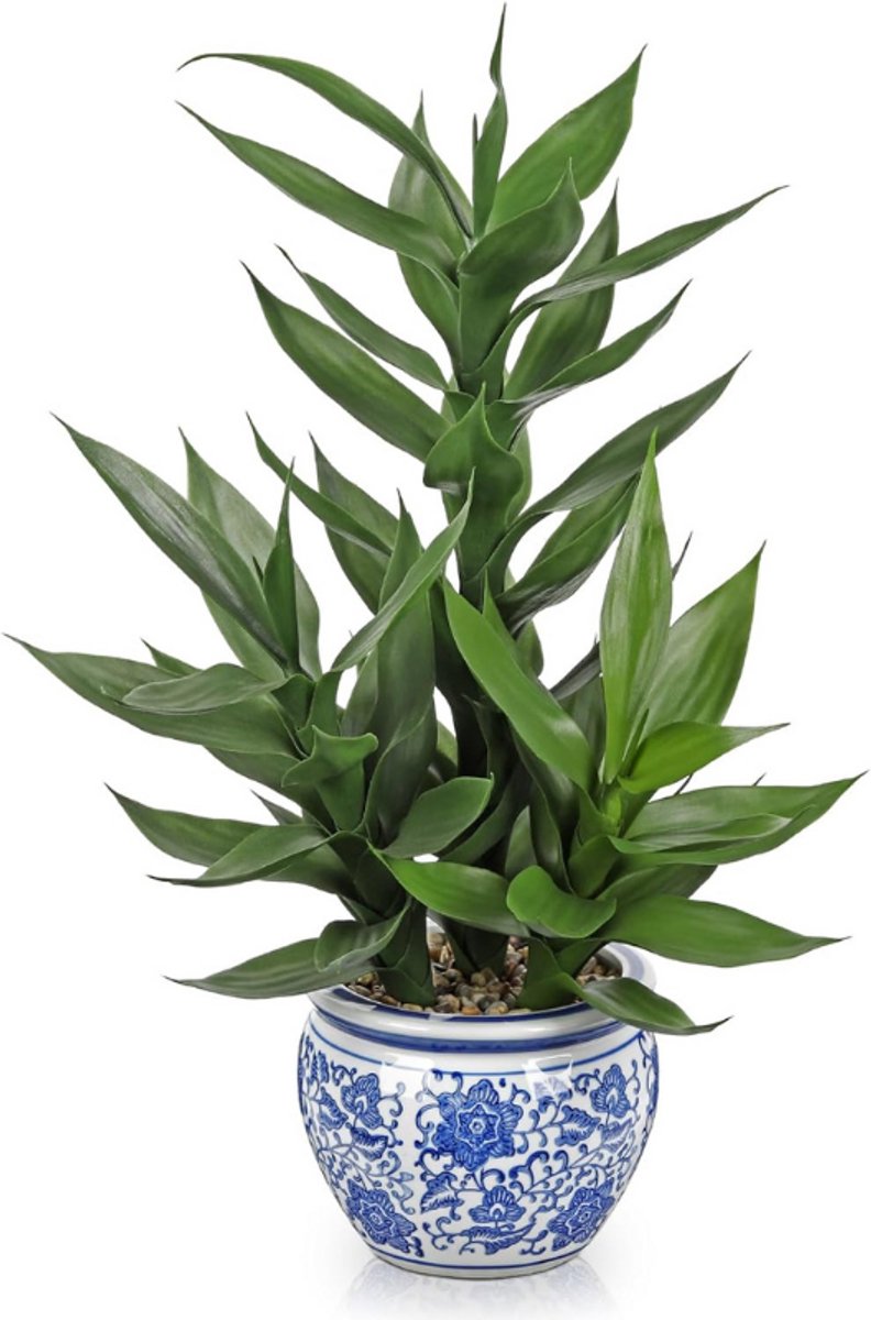 BOG Kunst Drakenboom In Keramische Pot - Kleine Kunstplant Van 50 Cm - Decoratieve Geluksbamboe Voor Tafel - Rek - Vensterbank - Woonkamer - Zoals Echt - Onderhoudsvrije Kamerplant GROEN