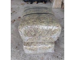 Timothy Hooi - Knaagdieren - Konijnen - Paarden - 10 kg