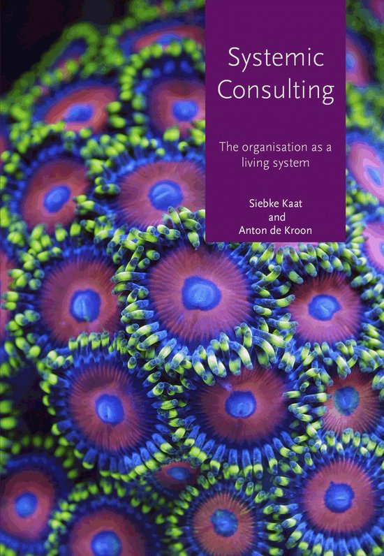 Systemic consulting - cover