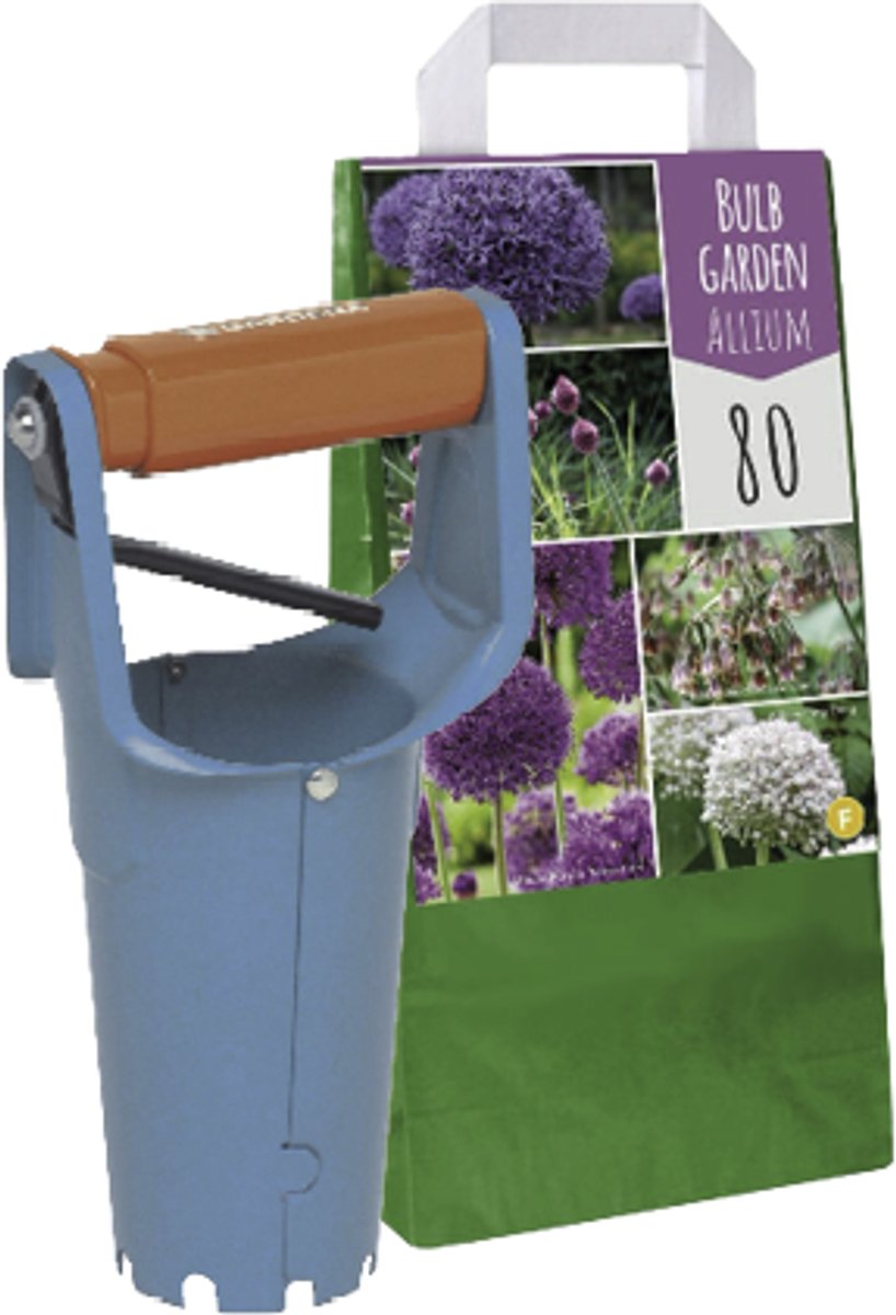 80 Allium (Sierui) - Gemengde Bloembollen Met Bollenplanter - Verschillende Kleuren - Vermeerderen - Voordeelverpakking - Grootverpakking