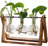 NUPTIO 4 stuks wandhangende glazen plantenbakken 10cm diameter ronde glazen plantenpot - waterplanten vazen luchtplanten bloemenvaas plant terraria plantcontainer