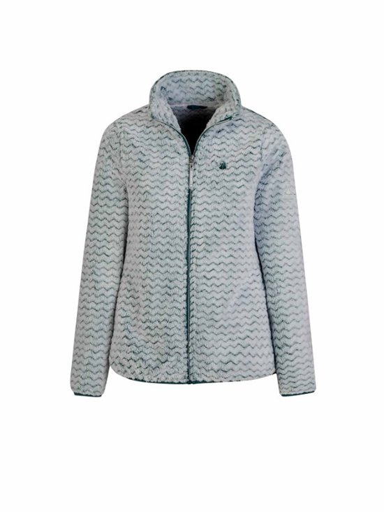 Generisch Stijlvolle dames grijze sweatshirt-broekset met capuchon en
