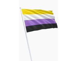 Non-binary flag 90 x 150 cm