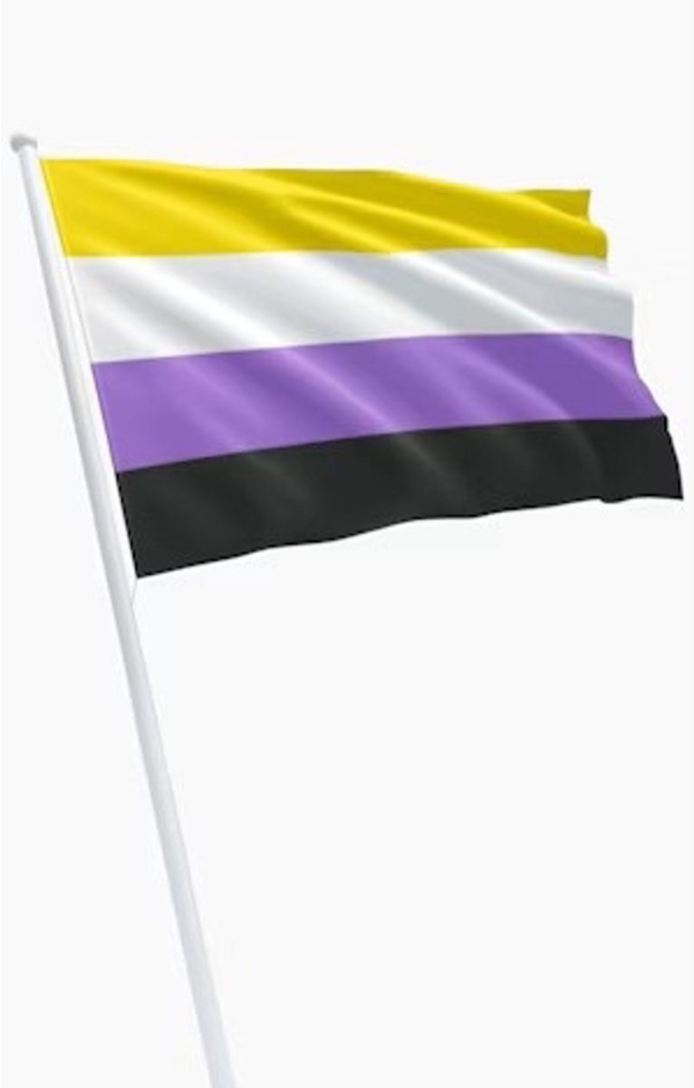Non-binary flag 90 x 150 cm
