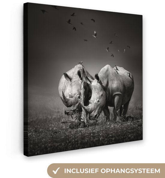 Peinture sur toile - Animaux - Vogels - Rhinocéros - Herbe - Nature - Salon - Toile - 90x90 cm - Décoration d'intérieur - Toile Canvas