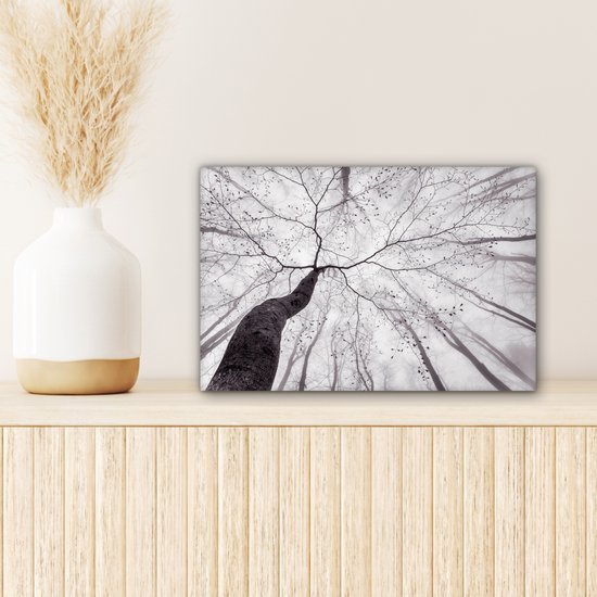 Peinture sur toile - Arbres - Brouillard - Nature - Forêt - Canvasdoek - Décoration murale - Photo sur toile - 30x20 cm - Peintures sur toile