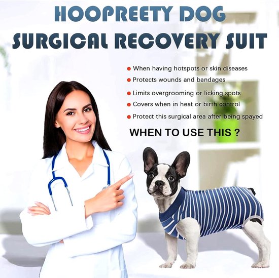 Franse bulldog in een blauw gestreept herstelpak, naast een vrouw in doktersjas. Met uitleg over gebruik.